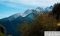 2022年水瓶男孽缘星座是谁 水瓶男最佳配对星座