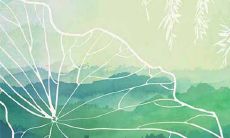 2021年7月13日节气是什么 24节气全年时间顺序表