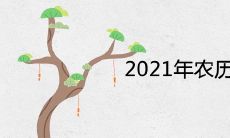 2021年农历五月有什么节日 有什么特殊的日子