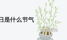 2021年五月27日是什么节气 是黄道吉日吗