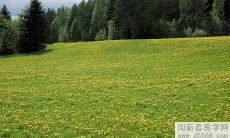 水瓶座桃花劫出现时会出现哪些征兆