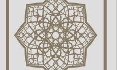 生肖虎2023年运气 癸水岁干正印透出