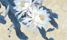 2023兔年1月10日出生的男孩命好不好 福气满满自带贵人运