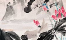 2023年1月12日出生的男宝宝命好吗 钱财丰厚贵人不缺