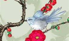 生辰八字解析：2023年1月31日出生的宝宝是什么命，五行缺什么