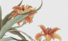 2023年1月7日出生的男孩是什么命 顺风顺水贵气十足