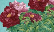 八字解析：2023年1月30日出生的宝宝是什么命，五行缺什么