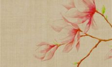 2023年1月11日出生的属兔男孩是什么命 福气满满一生顺遂