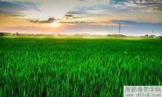 2022年水瓶男正财运旺不旺 水瓶男2022年做什么比较挣钱