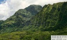 2022年水瓶座3月运势及运程 2022年3月水瓶座运势完整