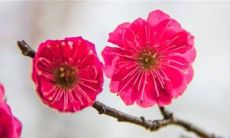 2023年3月28日开业做生意好不好 这天日子好不好