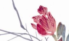 2023年4月1日愚人节新店开业好不好 今日开张好吗