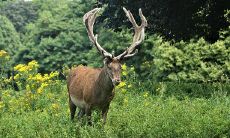 水瓶座男生对感情的专一程度怎么样
