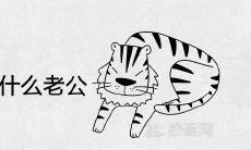 属虎女适合找属什么的老公 正缘婚配对象的生肖