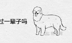 男狗女虎能过一辈子吗 婚姻合适吗