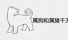 属狗和属猪千万不能在一起为什么 婚姻八字合不合