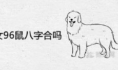 男94狗女96鼠八字合吗 在一起相冲吗