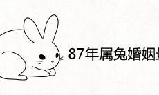 87年属兔2021年婚姻最终归宿是什么生肖