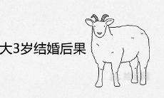 属羊的比属狗大3岁结婚后果 婚配好不好