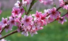 廉英豪姓名评分90分