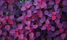 沈岗峰姓名评分79分