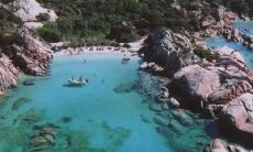 潘龙泉姓名评分100分