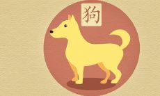 属狗适合住几楼吉利 住几楼可大富大贵