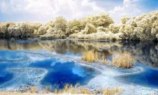 周祯华姓名评分73分