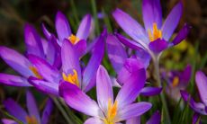 邬铭鹤姓名评分100分