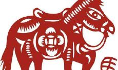 90年马女2021年婚姻感情运势 运势上升