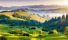 1942年出生是什么命 1942年属马是什么命