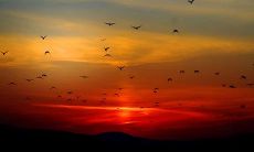 2023年4月生肖马的财神方位查询