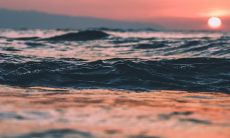 74年属虎桃花劫在哪年 74年人感情分析