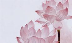 2023兔年正月初十出生的兔宝宝命运怎么样 贵人缘旺盛轻松升职