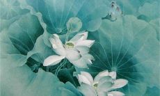 2023年属什么生肖的宝宝 平安顺利烦恼极少