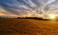 2022年流年神煞生肖 谁深受凶星影响