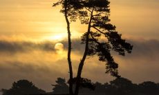 2022年必离婚的生肖 婚姻遇到危机