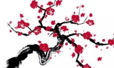 2023年属什么生肖几月出生好 平安喜乐没有烦恼