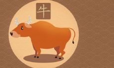 属牛人去什么方向发财 往哪个方向发展好