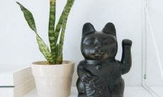 与马三合的属相 马和什么三合是生肖