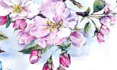 2022年8月份生肖属狗建房动土的黄道吉日 好日子查询