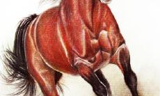 1978年属马人2023年的整年运势解析