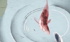 起名最忌的几种丑名