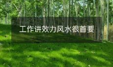 工作讲效力风水很首要