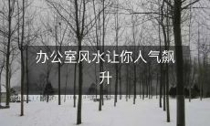 办公室风水让你人气飙升