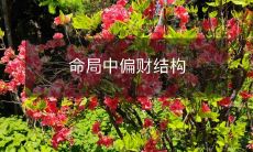 命局中偏财结构