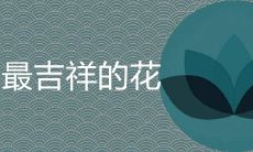 最吉祥的花哪些养在家里镇宅旺财