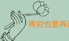 家里再穷也要养这3种花一生鸿运当头