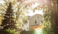 槐树镇宅还是招灾 四大镇宅之树都是什么