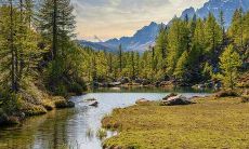 发财树放在办公室什么位置风水好